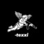 -texxi