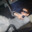 WeX3l