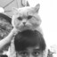 PBasIc_np