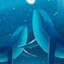 BLwhale