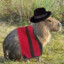 Elkarpincho