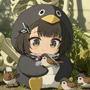 Mr.Panda avatar