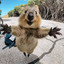 QuOKka