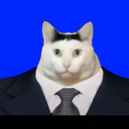 猫喵喵喵猫喵猫喵喵猫