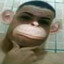 Joe macaco