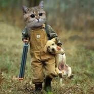 菜就是没手感☺