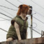 Perro con Chompa