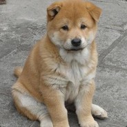 回首一陶！呦侯~~