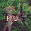 Grass0wnik