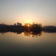 爱学习的熊霸天