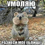 :)