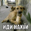 hoholZ