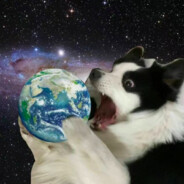 马嘉祺狂热粉丝