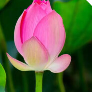 长者才能谈笑风生