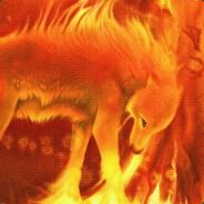 Firewolf - steam id 76561197965660129