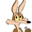 WILE COYOTE