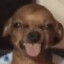 2103231