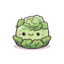 SwiftyLettuce