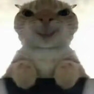 大森林怪人的分身