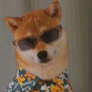 羊村狙击手懒羊羊