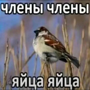 шо вы пацiкi