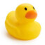 ducky