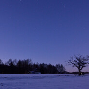 南山敬老院李老头