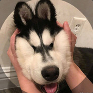 顺风快递揽件员