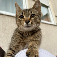 xxxxxxxxxxxxxxxxxxxx