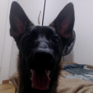 Laika Dave gorbachev