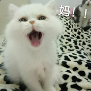 我大雄今天就是RushB