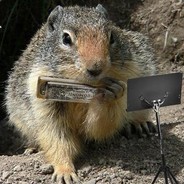 拿出你的百分百