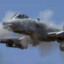 A10-Warthog