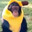 Macaco Gameplay