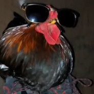 Chicken In da club
