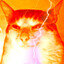 EVIL BAO