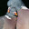 carrier pigeon