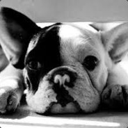 *woof woof*