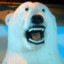 OverShareBear