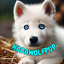 KodaWolfpup626