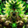 Vash