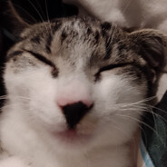 Чёртов русский.