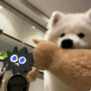 谁让我是诺言呢