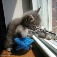 ClementineN 1337 ELIT