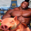 Hog Rider