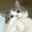 ❥Fastfapper—
