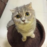 再次鼓起丧失的勇气