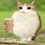 meowl