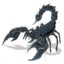 Black Scorpion