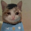 觉悟